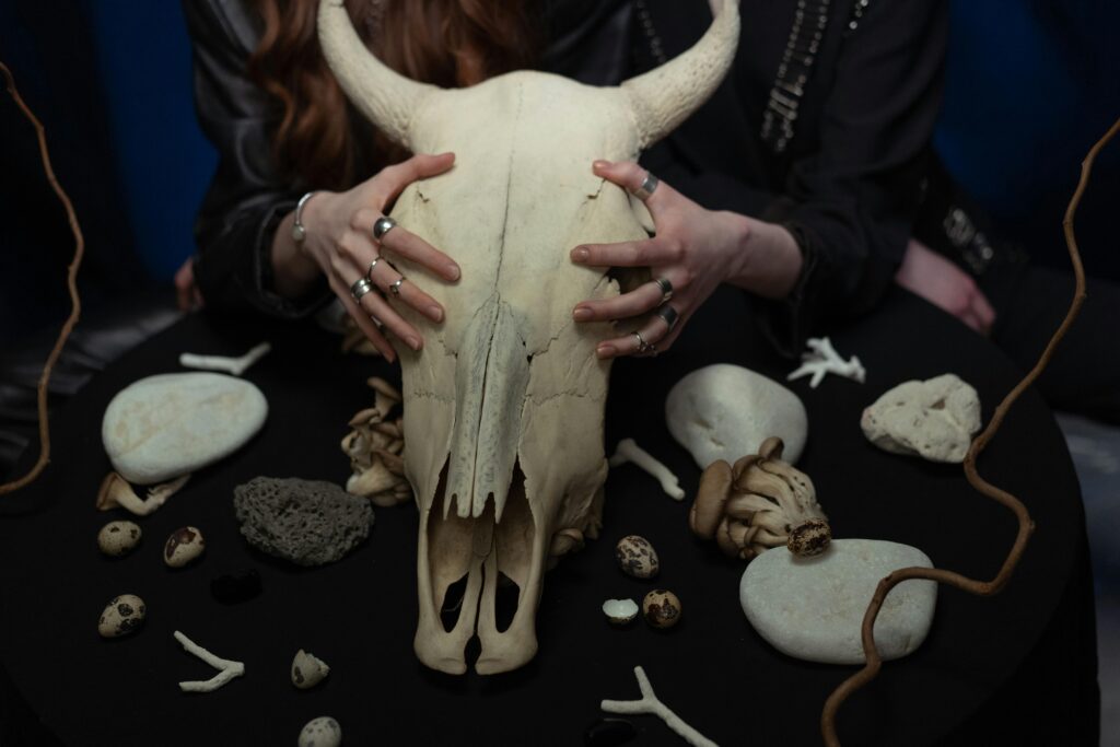 A mysterious setup featuring a cow skull surrounded by stones and mystical elements, evoking witchcraft vibes.